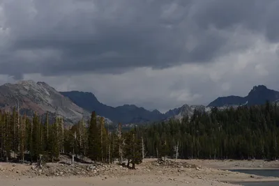 DSC_3011 (Large).JPG